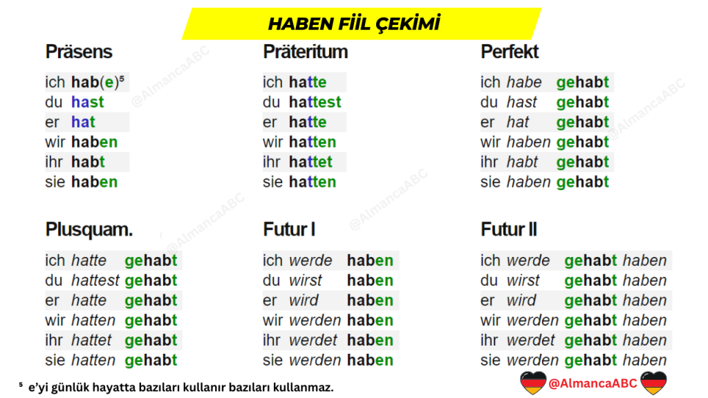 Haben Fiil &Ccedil;ekimi (Almanca "Sahip Olmak" Fiilinin &Ccedil;ekimleri ve &Ouml;rnekleri)