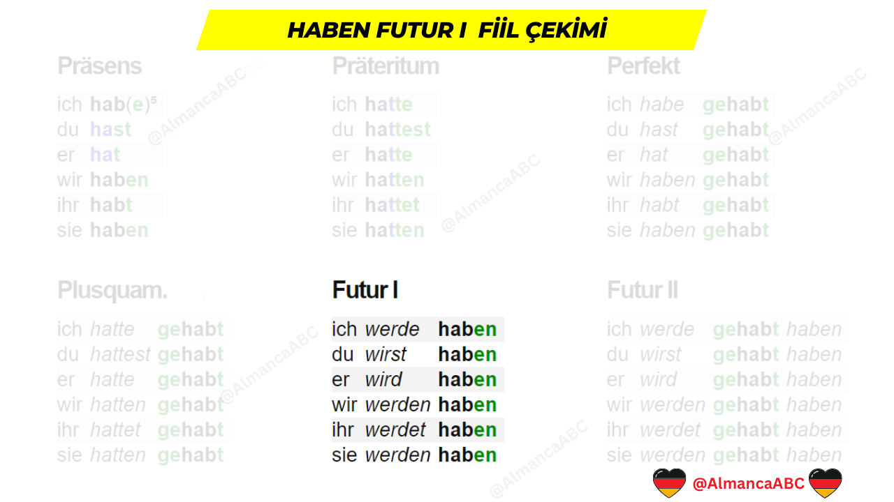 Haben Almanca Ne Demek? (Fiil Çekimi & İlgili Cümleler)
