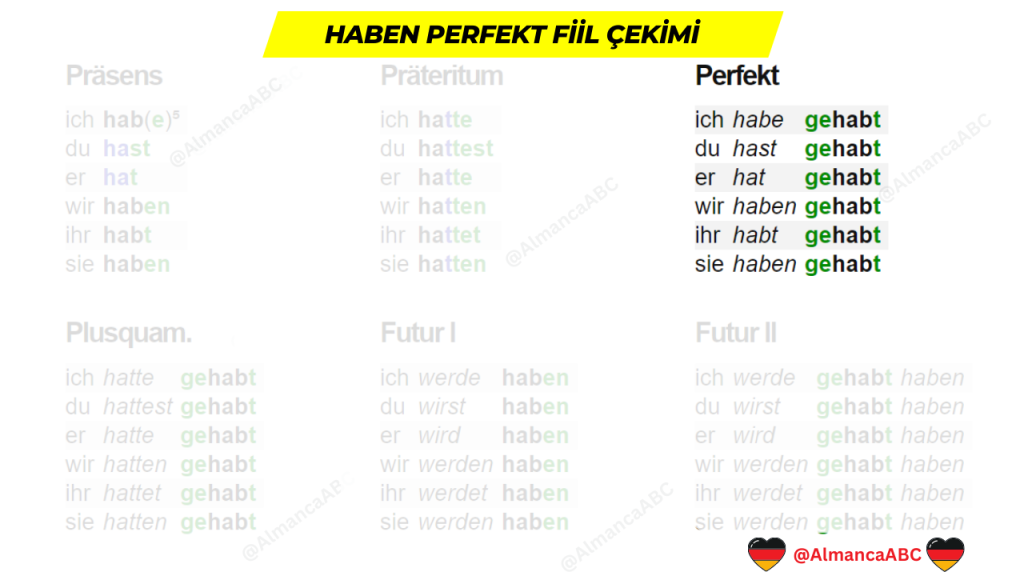 Haben Perfekt Almanca Fiil &Ccedil;ekimi