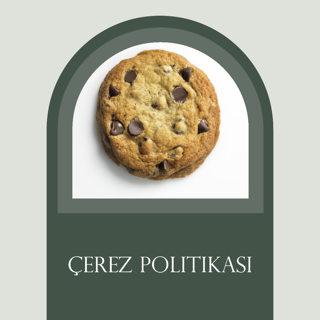 AlmancaABC.com'un Çerez Politikası