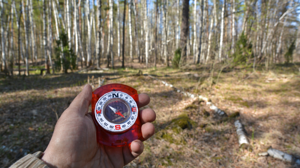 Ormanda avucundaki pusula ile y&ouml;n arayan biri.