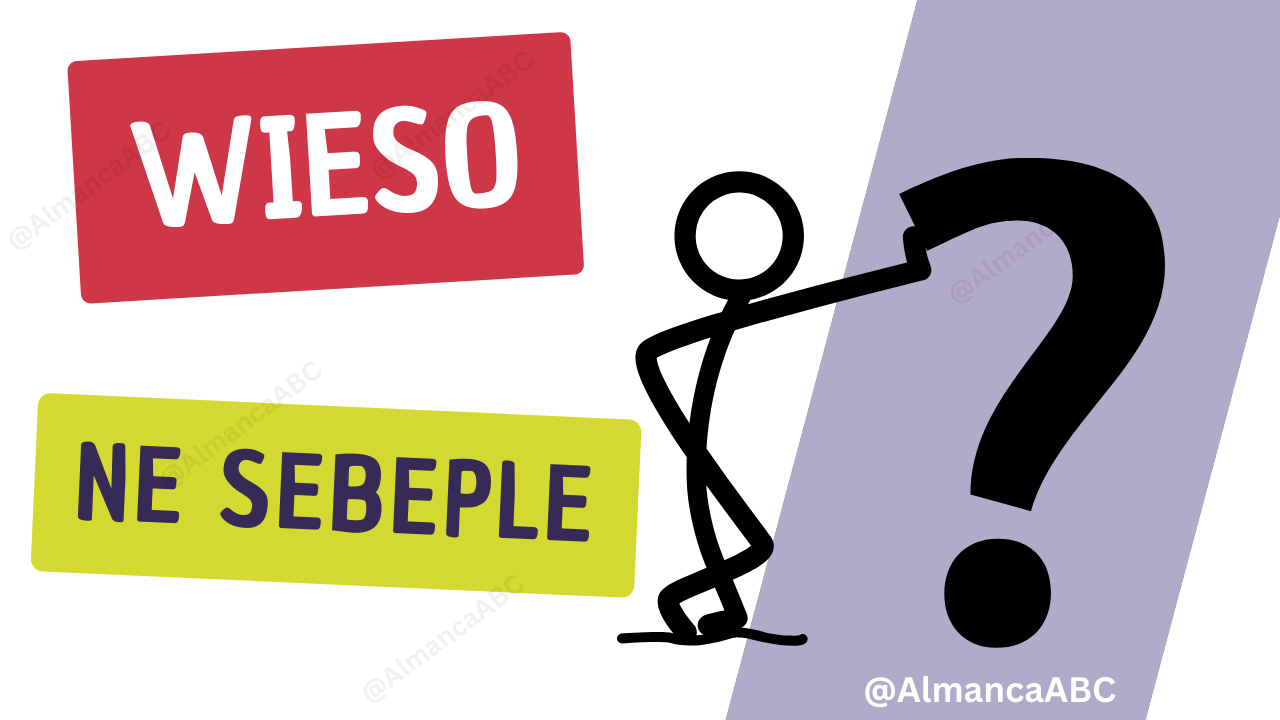 Wieso Almanca W-Fragen Sorusu Türkçe Çeviri Nedir: ne sebeble