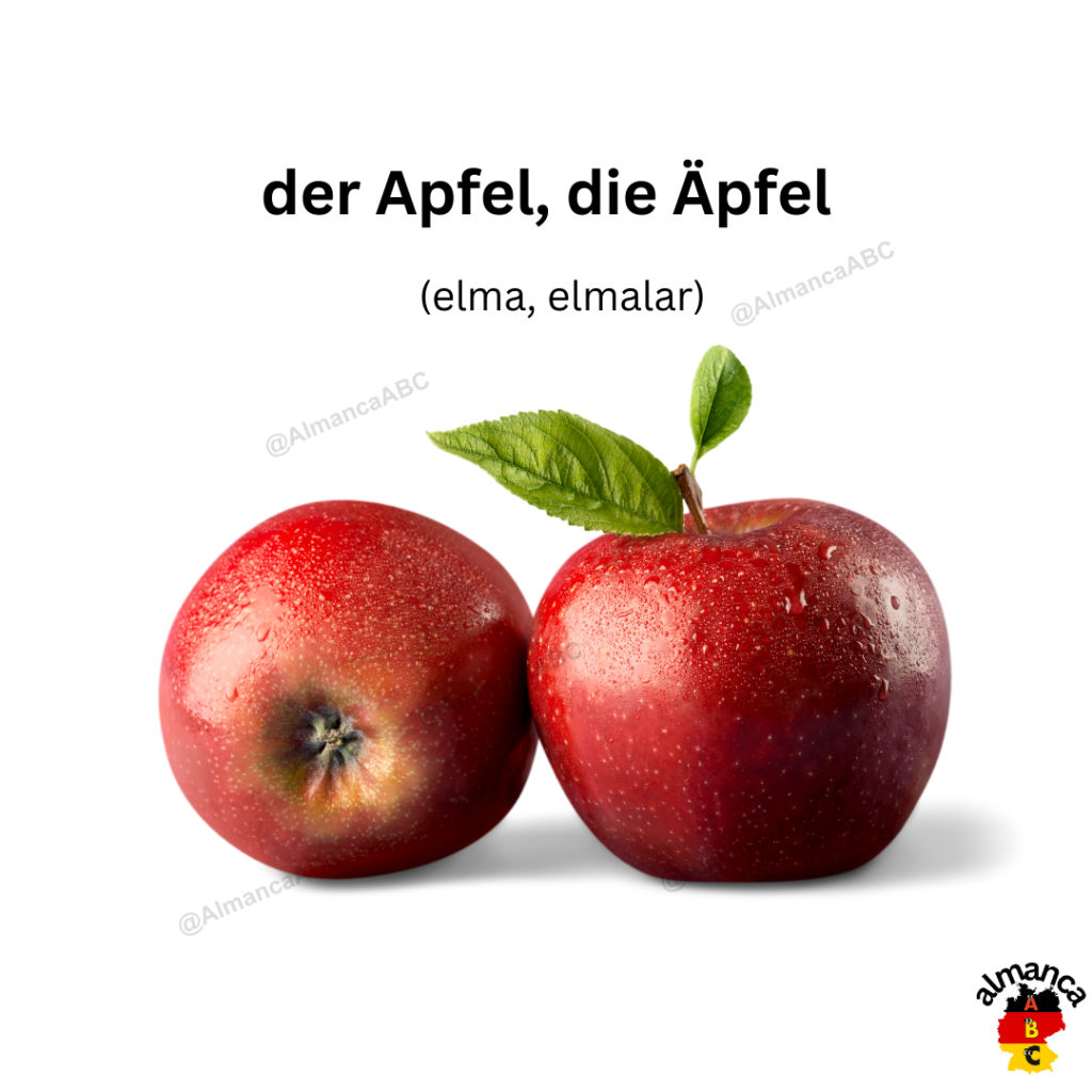 der Apfel, die Äpfel (elma, elmalar)
