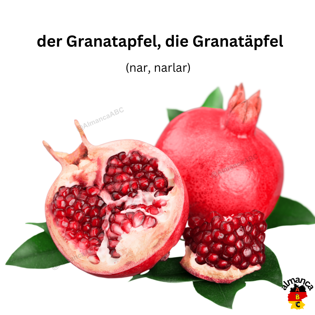 Almanca: der Granatapfel, die Granatäpfel (Türkçe çevisi: nar, narlar)
