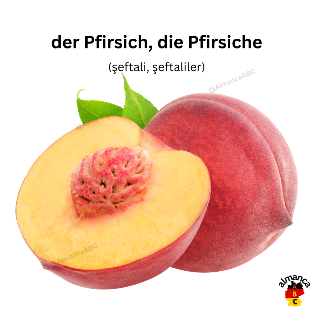 Almanca: der Pfirsich, die Pfirsiche (Türkçe çeviri: şeftali, şeftaliler)