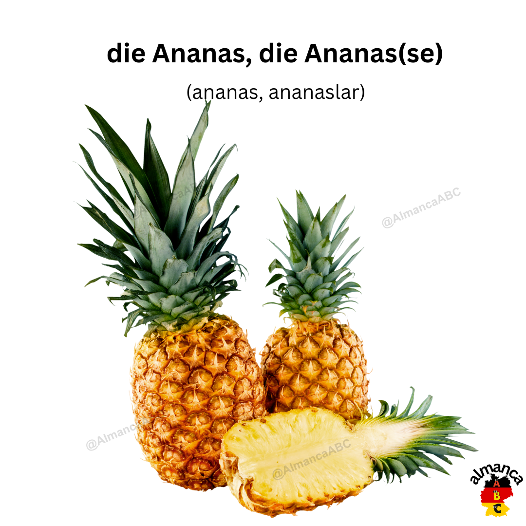 Almanca: die Ananas, die Ananas(se) (Türkçe çevisi: ananas, ananaslar)