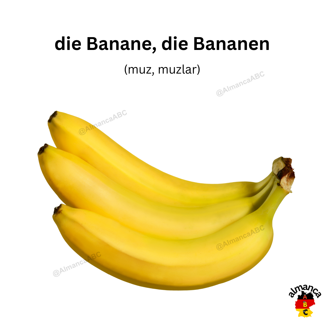 die Banane, die Bananen (muz, muzlar)