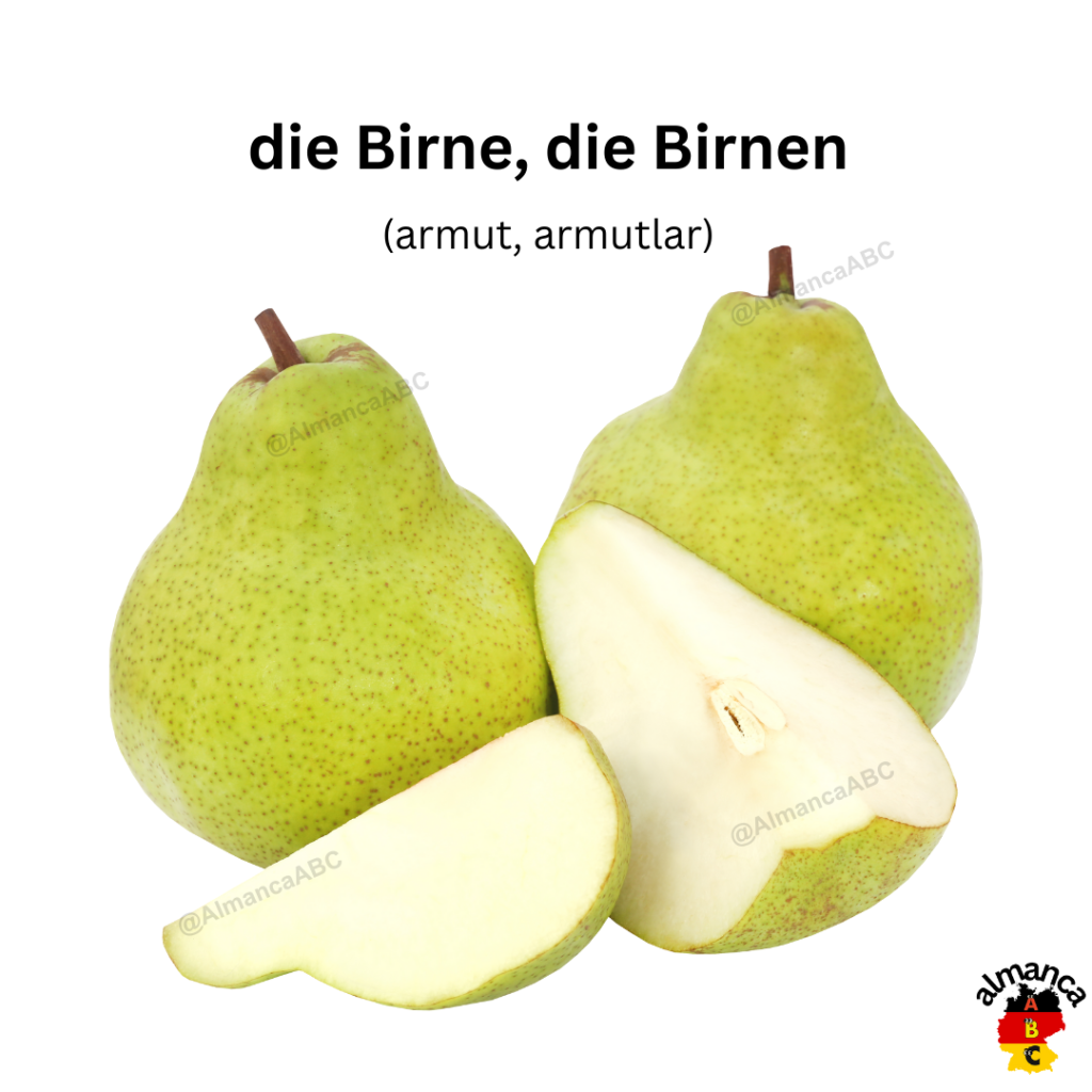 Almanca: die Birne, die Birnen (Türkçe çeviri: armut, armutlar)