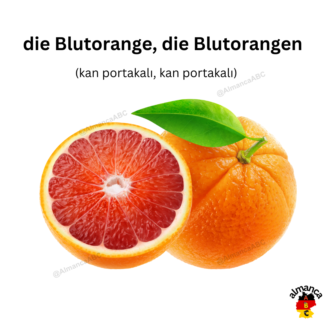 Almanca: die Blutorange, die Blutorangen (Türkçe çevirisi: kan portakalı, kan portakalı)