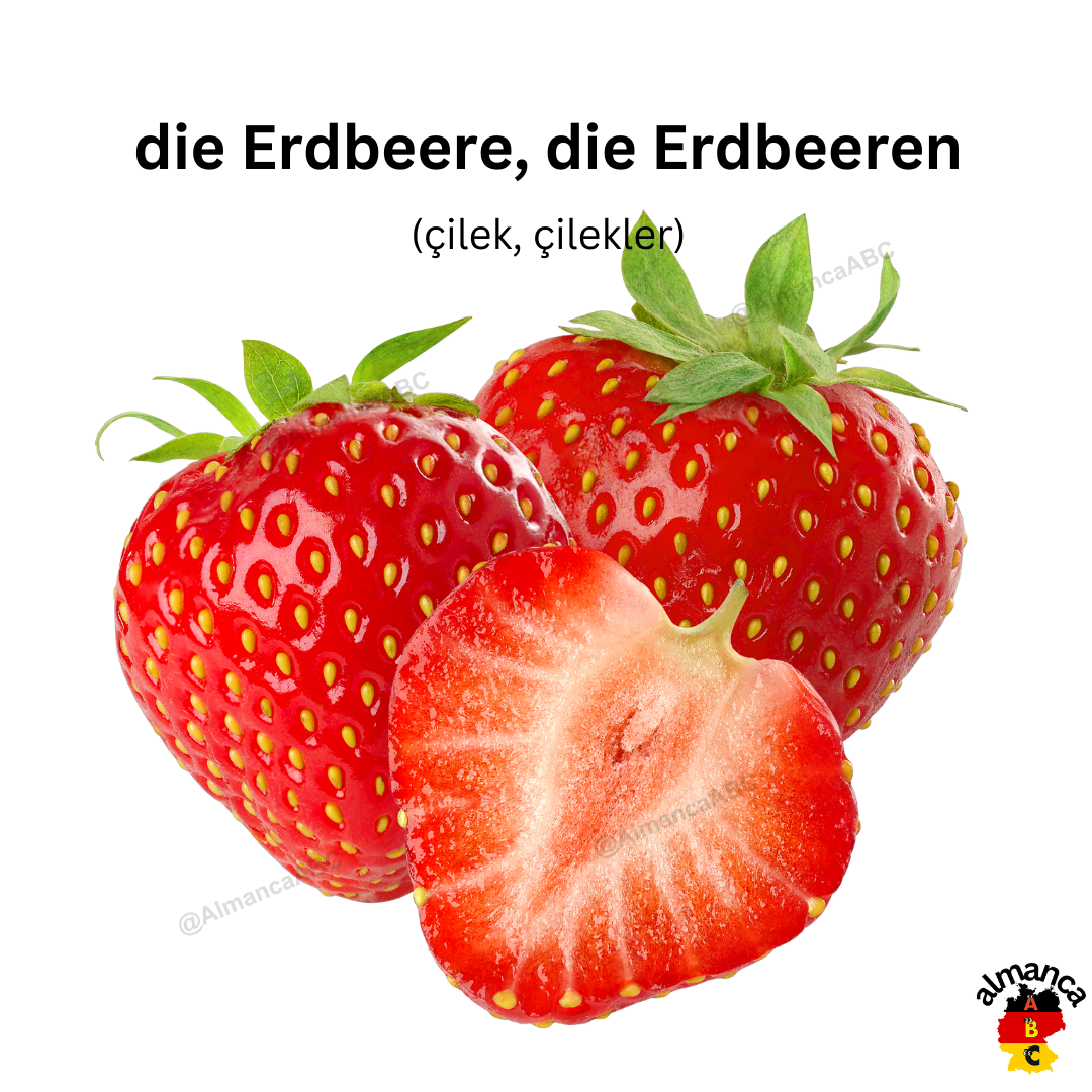Almanca die Erdbeere, die Erdbeeren (Türkçe: Çilek, Çilekler)