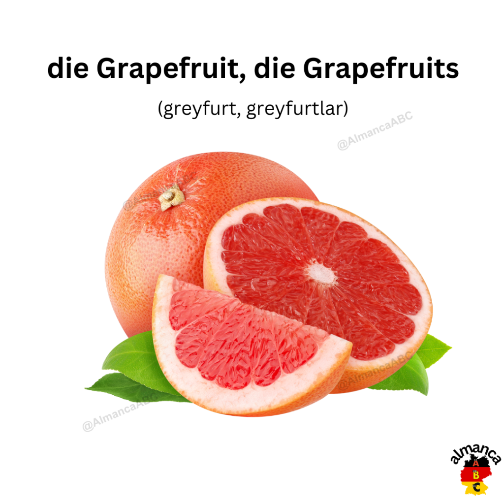 Almanca die Grapefruit, die Grapefruits (Türkçe çeviri: greyfurt, greyfurtlar)