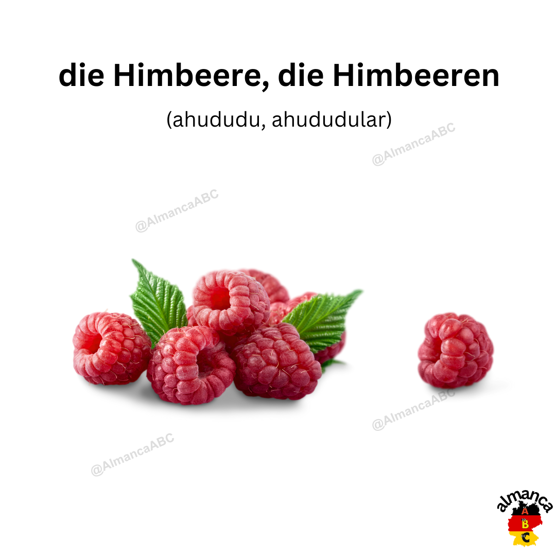 die Himbeere, die Himbeeren (ahududu, ahududular)