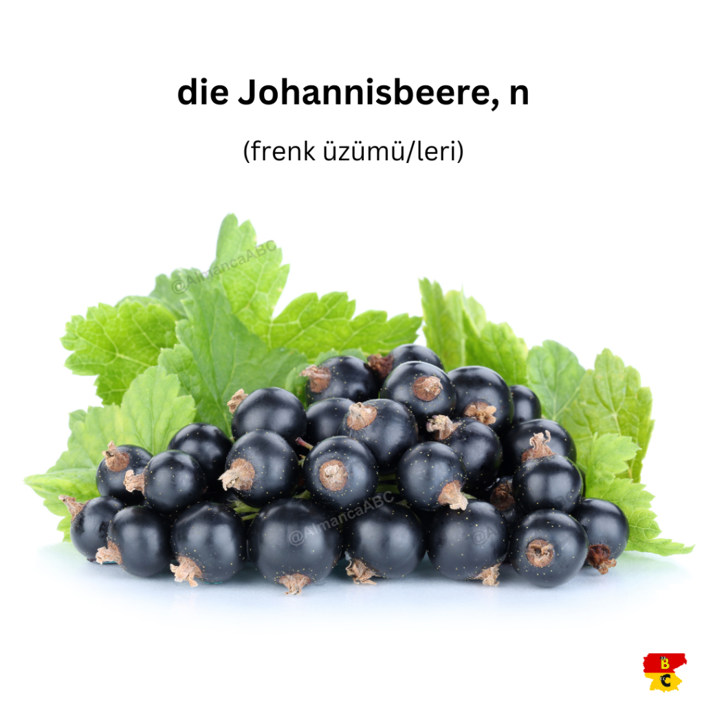 die Johannisbeere, n (frenk üzümü_leri)