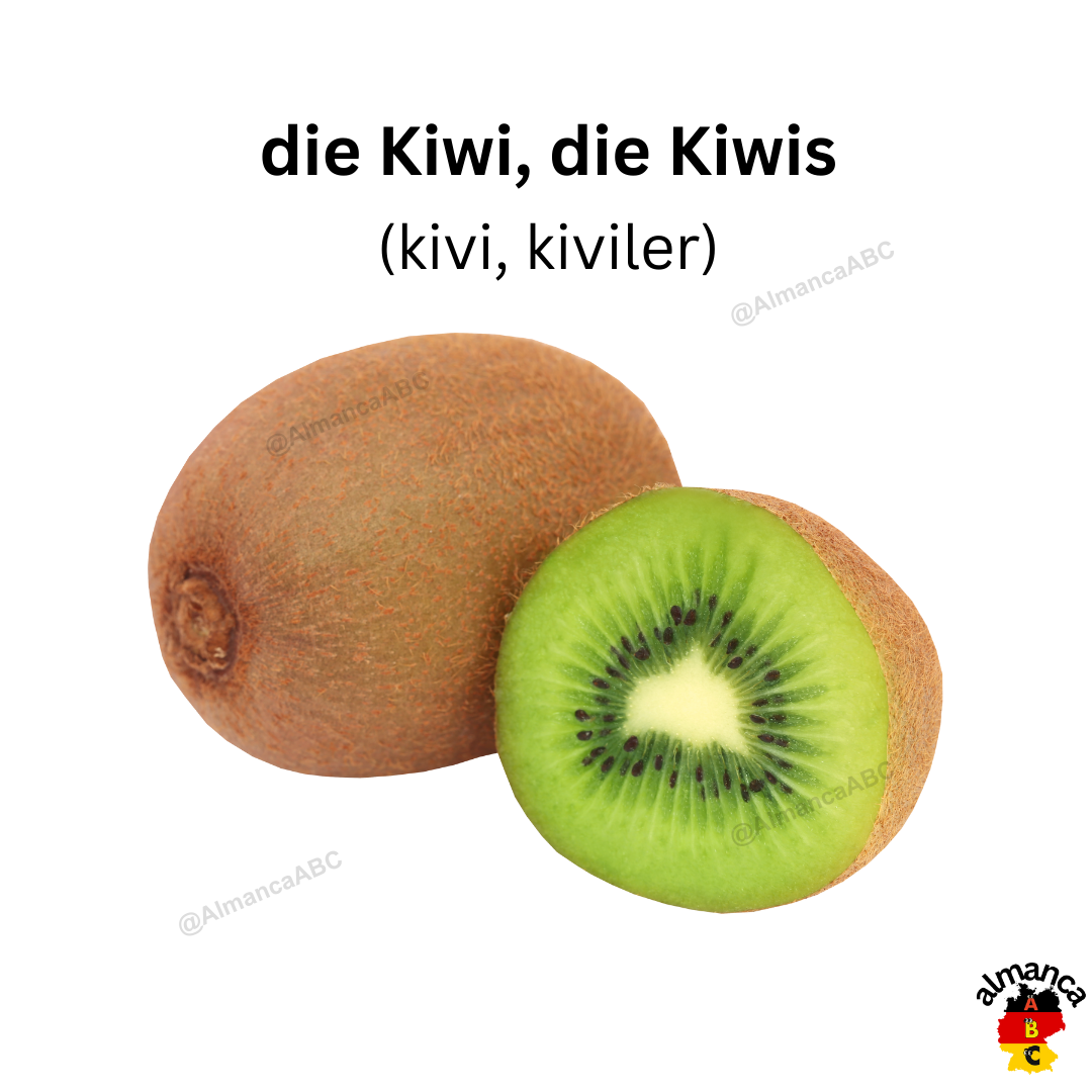 Almanca: die Kiwi, die Kiwis (Türkçe çevirisi: kivi, kiviler)