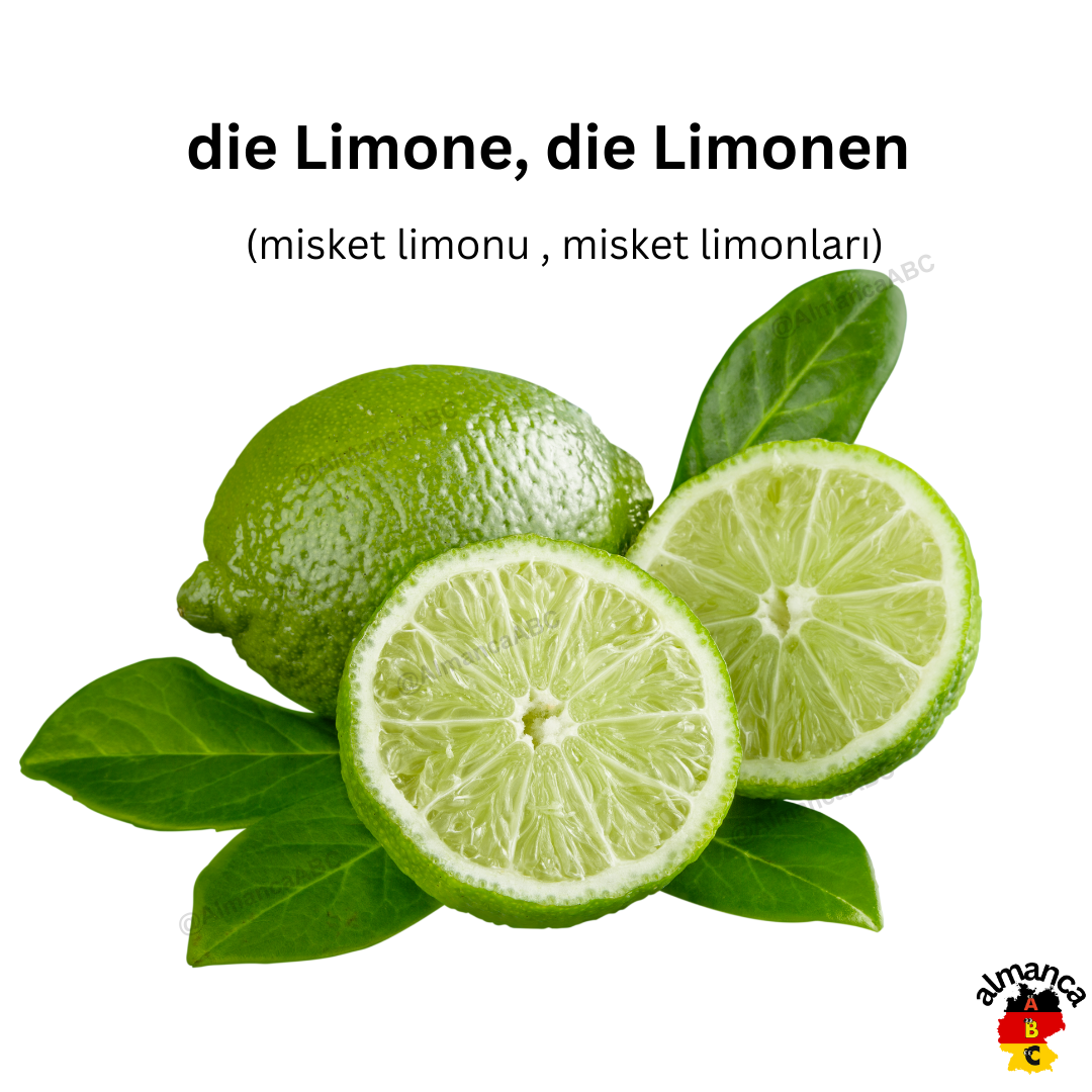 Almanca: die Limone, die Limonen (Türkçe çevisi: misket limonu , misket limonları)