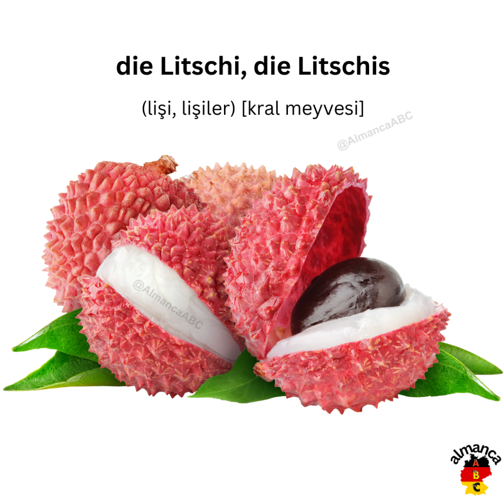 Almanca: die Litschi, die Litschis (T&uuml;tk&ccedil;e &ccedil;eviri: lişi, lişiler) [kral meyvesi]