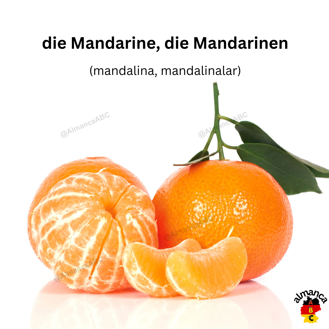 Almanca: die Mandarine, die Mandarinen (Türkçe çeviri: mandalina, mandalinalar)
