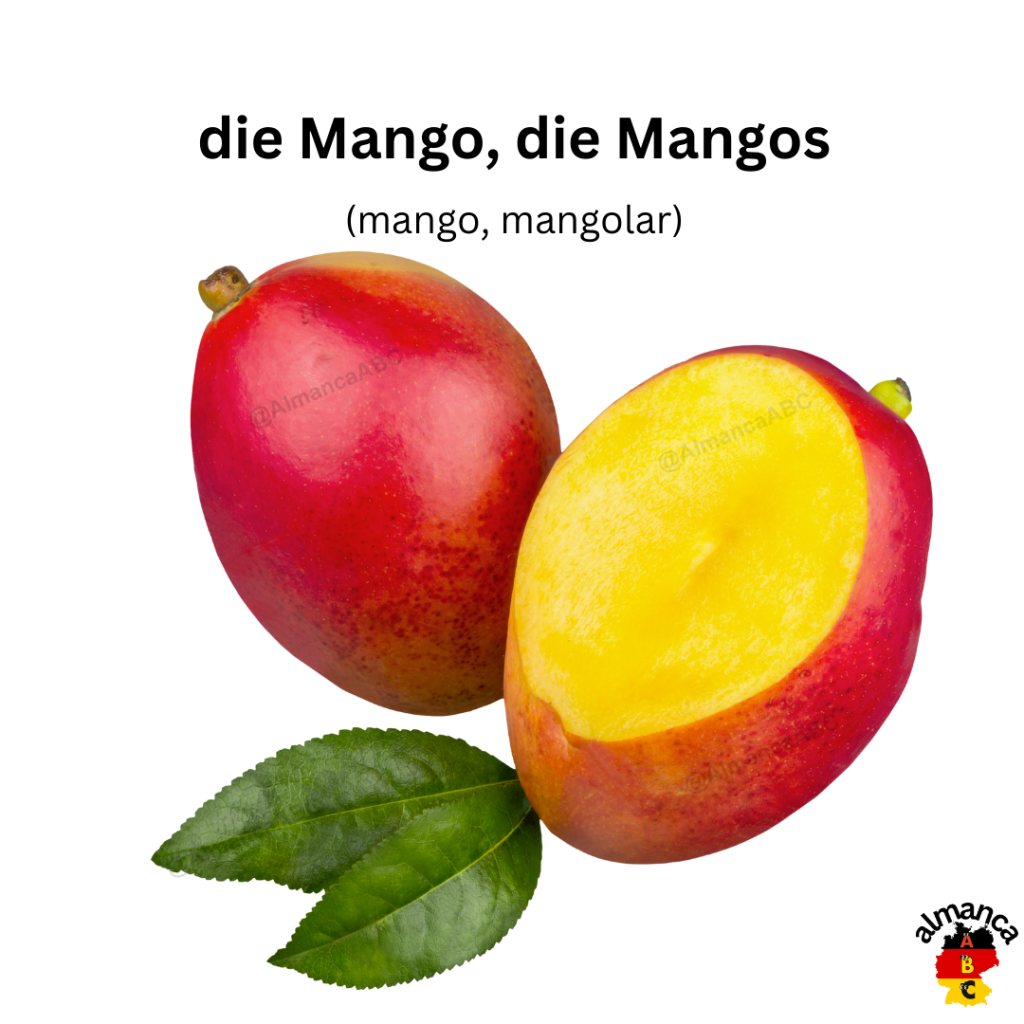 Almanca: die Mango, die Mangos (Türkçesi: mango, mangolar)