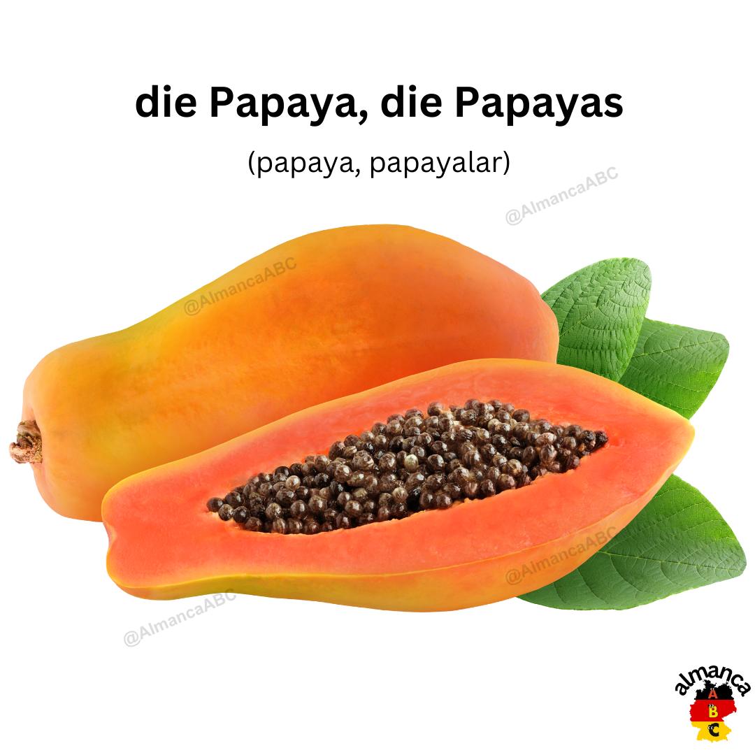 Almanca: die Papaya, die Papayas (Türkçe çeviri: papaya, papayalar)