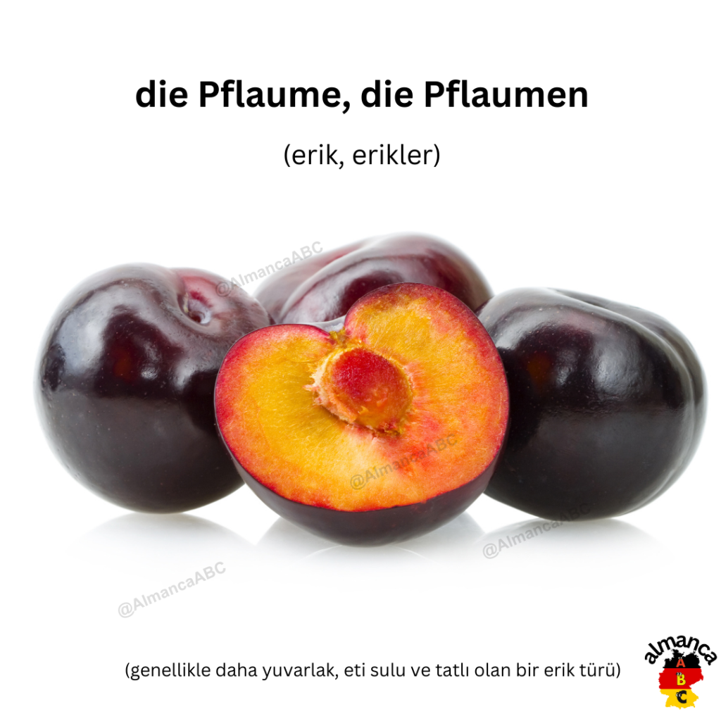 Almanca: die Pflaume, die Pflaumen (Türkçe çevisi: erik, erikler)