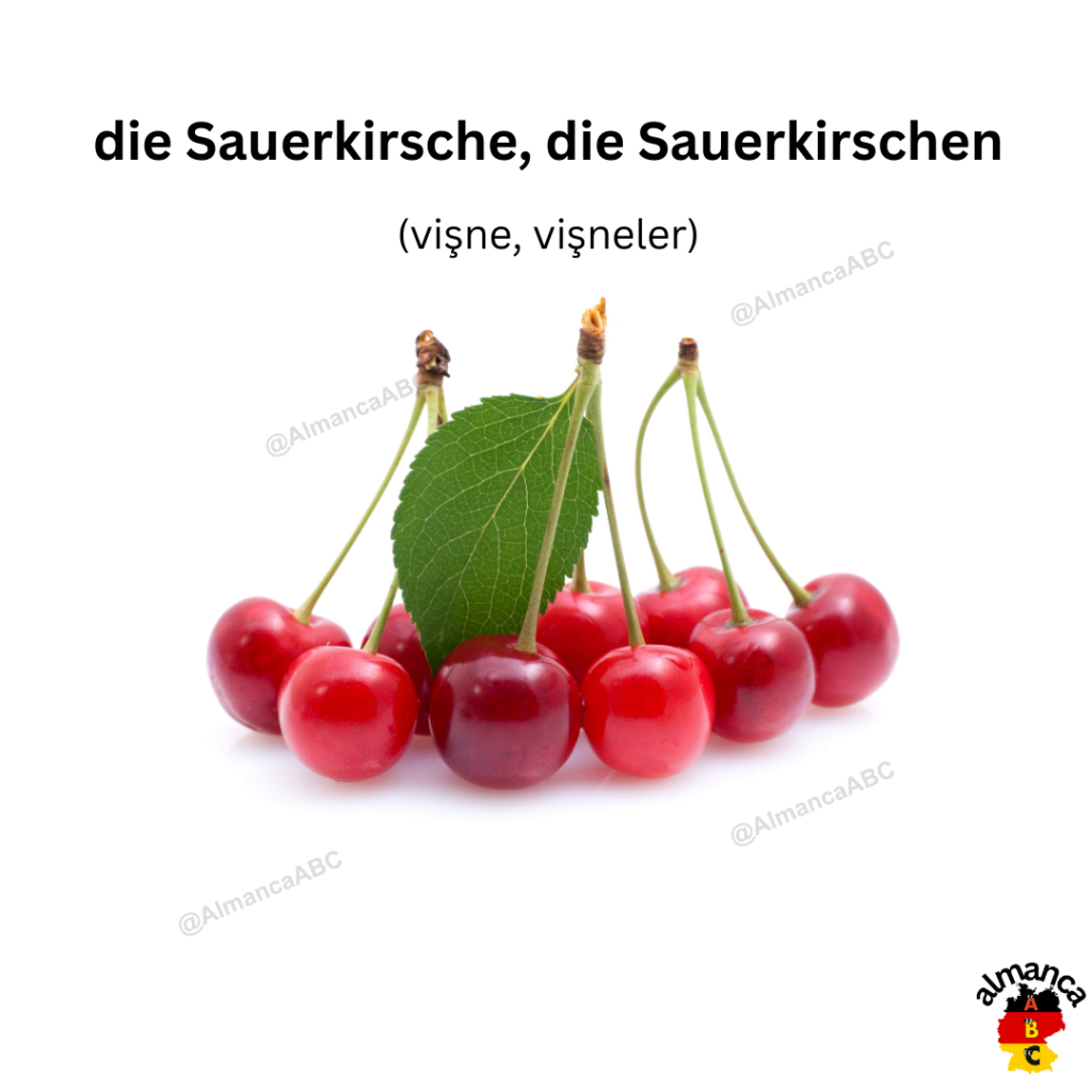 Almanca: die Sauerkirsche, die Sauerkirschen (Türkçe: vişne, vişneler)