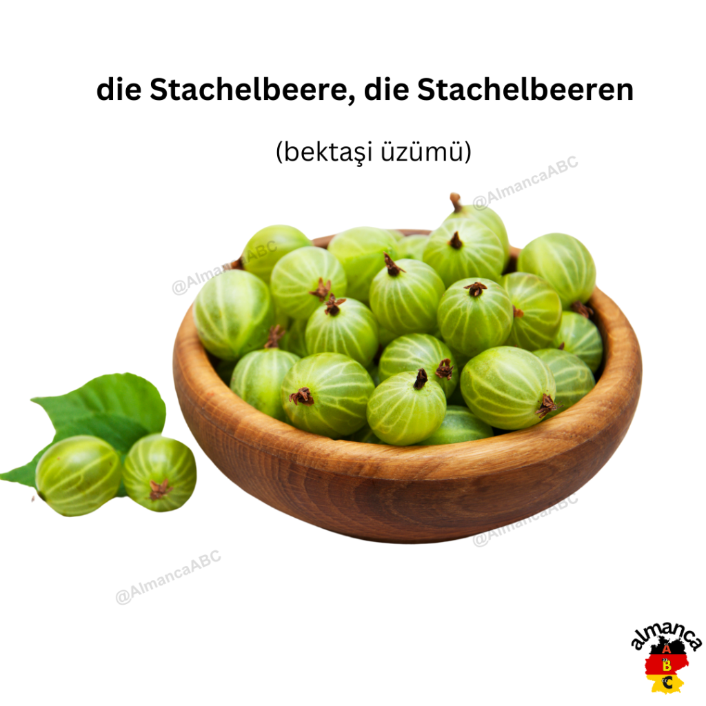 Almanca:die Stachelbeere, die Stachelbeeren (Türkçe çeviri: bektaşi üzümü)