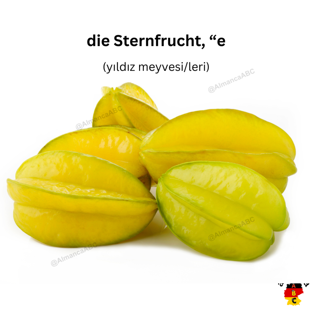 Almanca: die Sternfrucht, die Sternfrüchte (Türkçe çevirisi: yıldız meyvesi/leri)