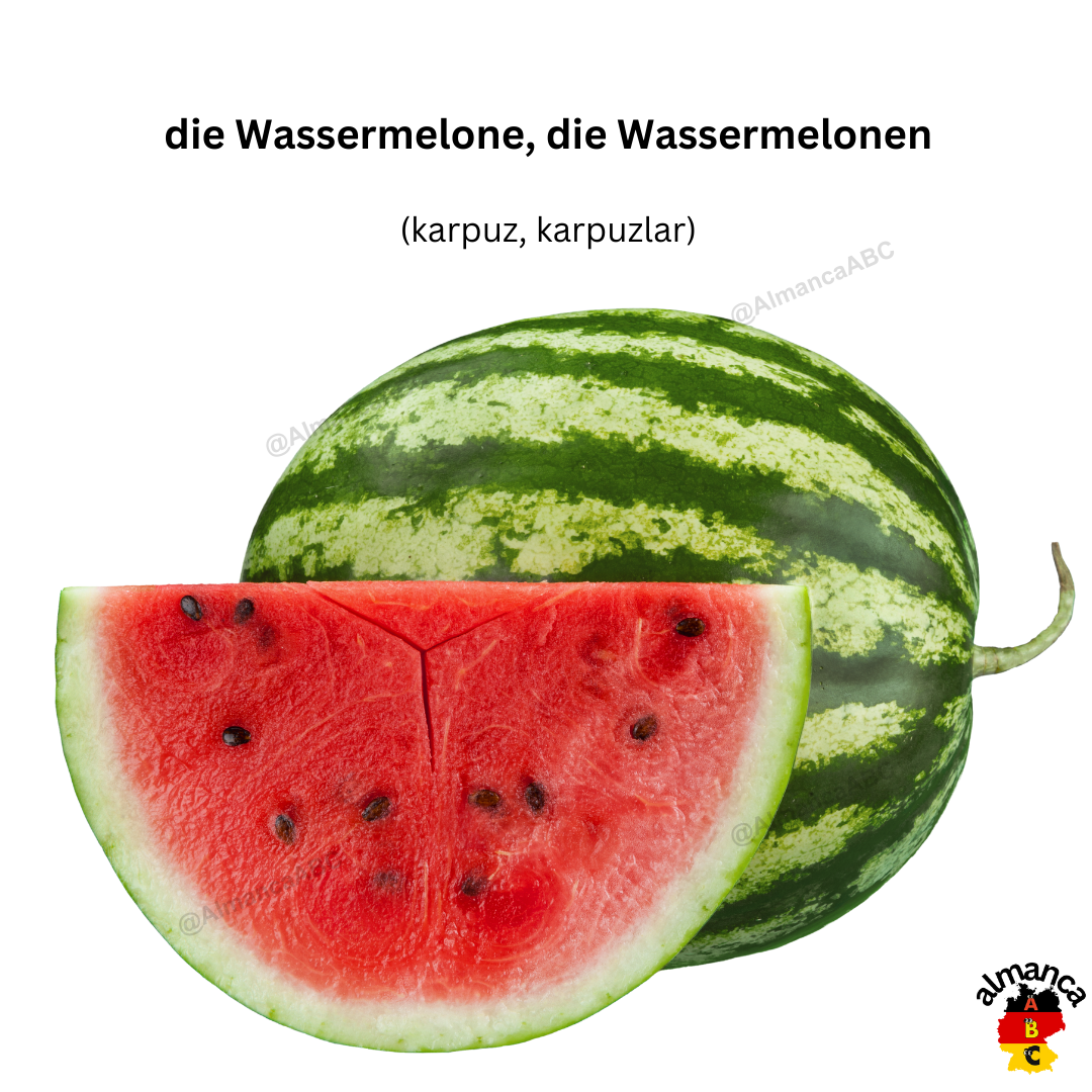 Almanca: die Wassermelone, die Wassermelonen (Türkçe çeviri: karpuz, karpuzlar)