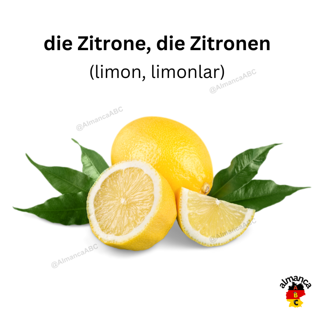 Almanca: die Zitrone, die Zitronen (Türkçe çevisi: limon, limonlar)