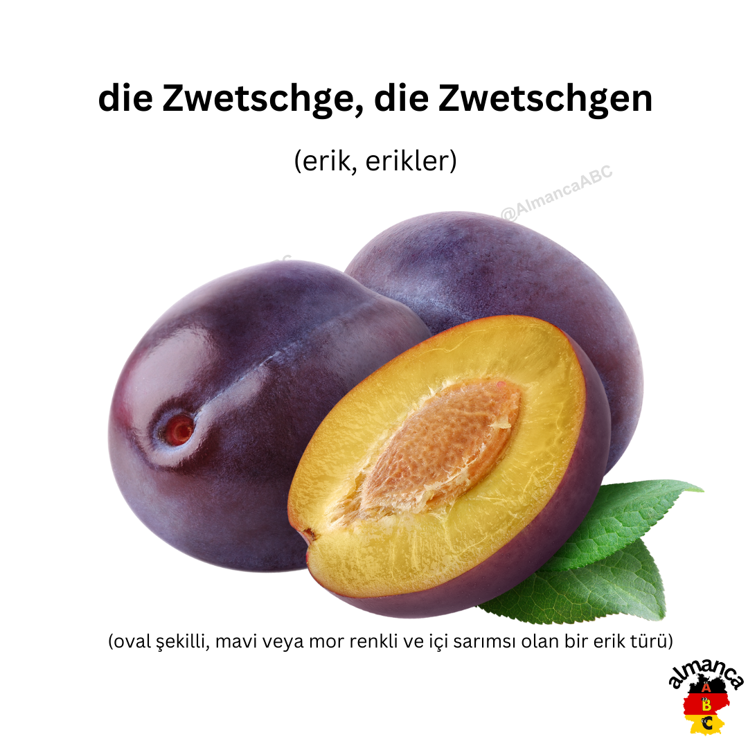 Almanca: die Zwetschge, die Zwetschgen (Türkçe çevisi: erik, erikler)