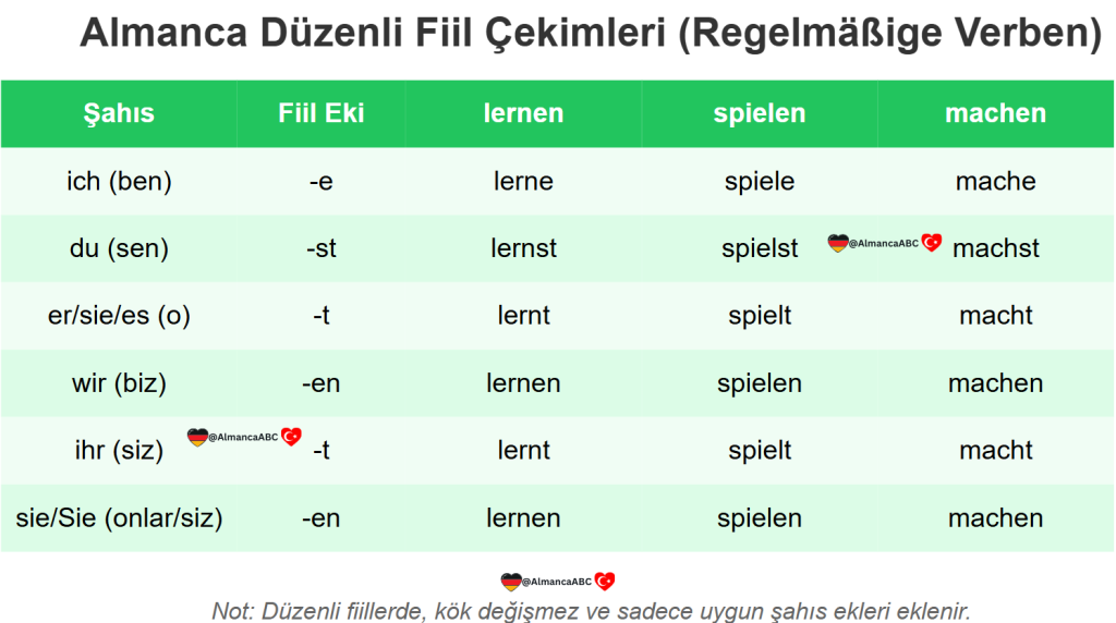 Almanca Düzenli Fiil Çekimleri (Regelmäßige Verben)