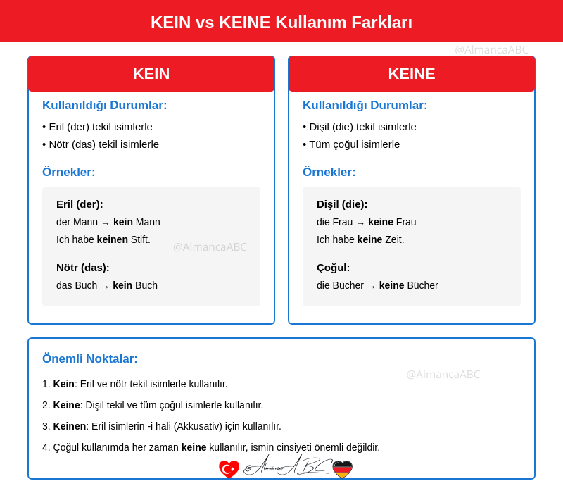 KEIN vs KEINE Kullanım Farkları